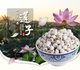 洪湖青泥巴红莲/白莲500克