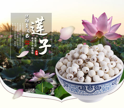 洪湖青泥巴红莲/白莲500克 商品图0