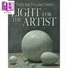 【中商原版】Light for the Artist 进口艺术 艺术家之光 商品缩略图0