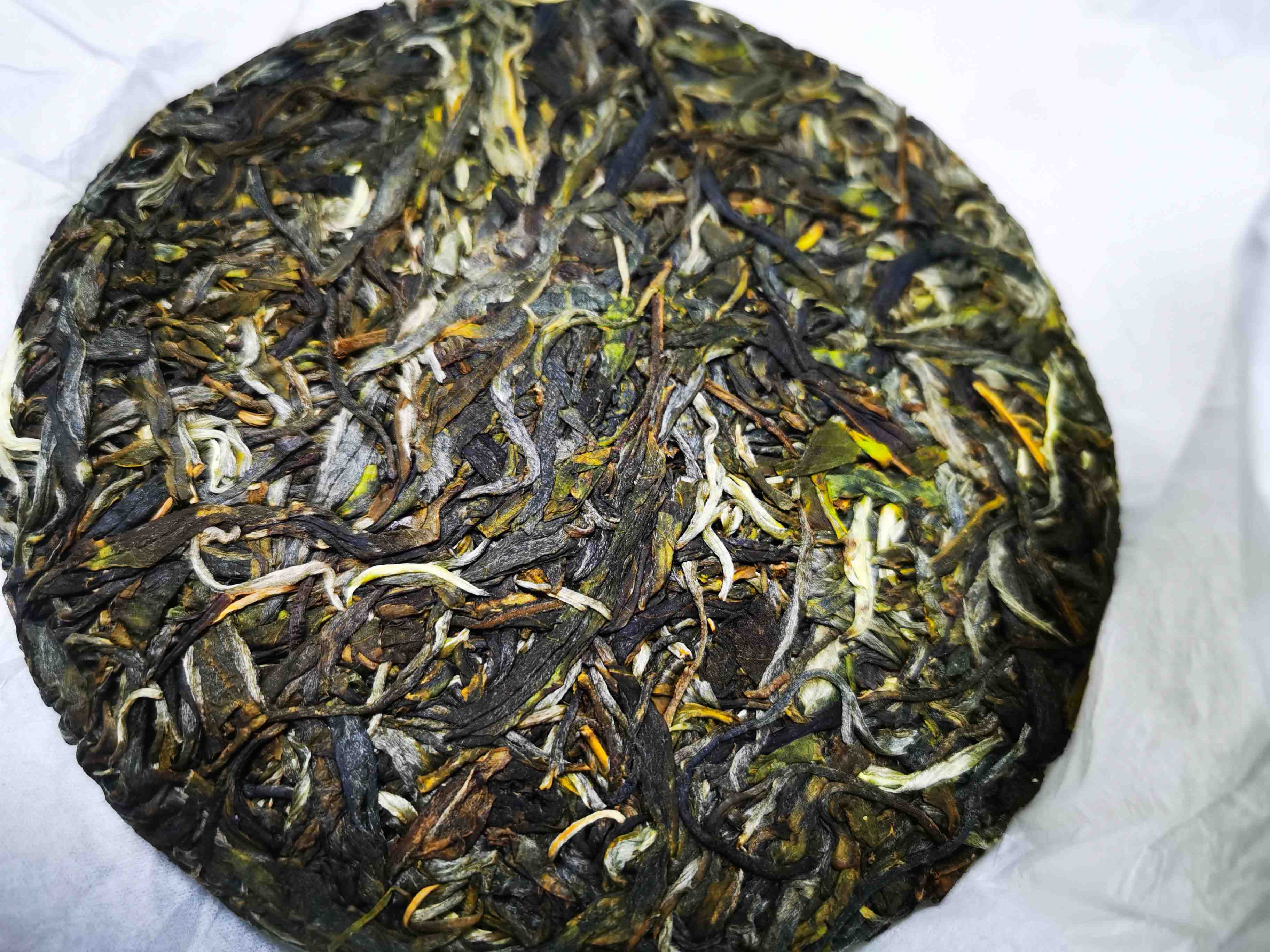 时有落花至，风随流水香——南糯山最高海拔茶区拔玛寨2022年古树头春挑采200g