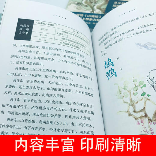 少年观山海全5册 商品图3