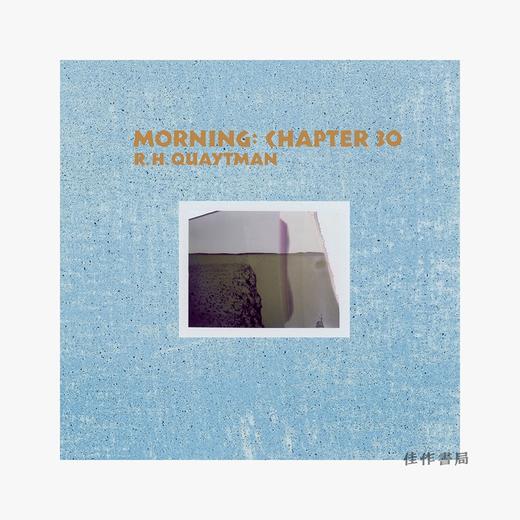  R. H. Quaytman: Morning Chapter 30  / R.H.奎特曼：早晨  第30章 商品图0