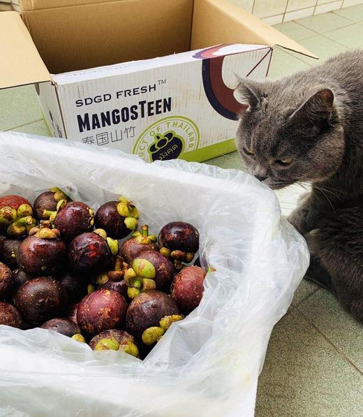 【泰国山竹】3斤装，5A级，5A级麻竹，顺丰空运快递 商品图2