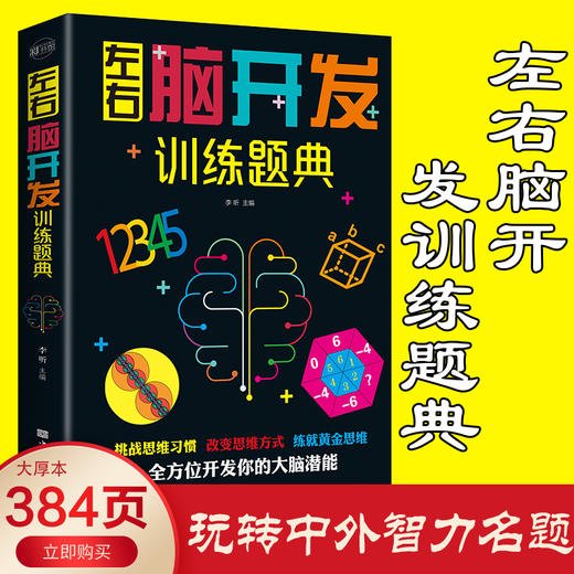 一起来玩+左右脑开发训练全2册 商品图2