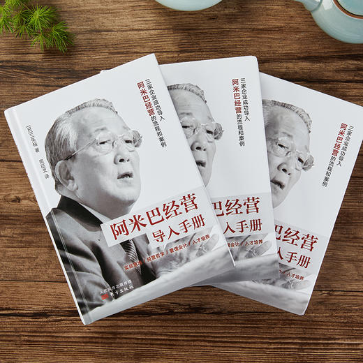 《阿米巴经营导入手册》500万畅销书《活法》稻盛和夫的独门绝招深刻影响马云、任正非等中国企业家 商品图2