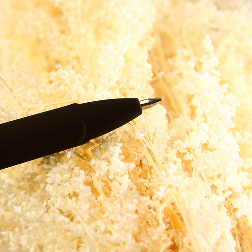 宝克中性笔(黑色)PC-1838 商品图3