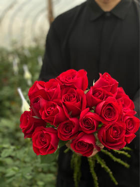 【周四团购】卡罗拉红玫瑰15枝39.8元 2人拼团