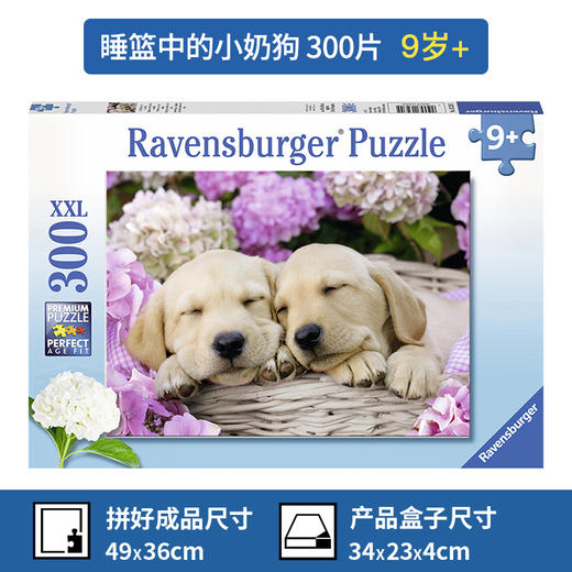 Ravensburger拼图 平面拼图300片睡篮中的小奶狗RAVC132355 商品图1