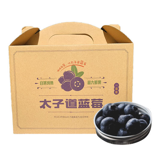太子道一级蓝莓礼盒750g 商品图0