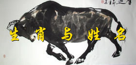 姓名│十二生肖与姓名