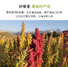 丨有机丨新疆藜麦1.2kg装 2kg装 藜麦米 天山健客 商品缩略图5