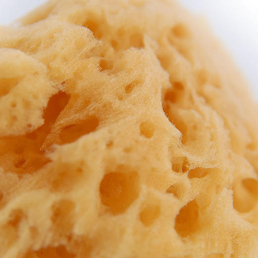 智高天然海藻洗浴海绵大孔00062290400000 商品图4