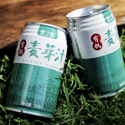 有机麦芽汁310ml/罐  弱碱性富含氨基酸 纯素饮料 商品图0