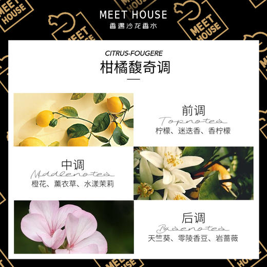 橘海的潮汐 商品图1