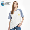 阿根廷国家队官方商品丨蓝白拼接短袖时尚插肩袖 梅西球迷圆领T恤 商品缩略图3
