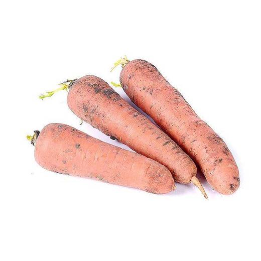 泥胡萝卜(500g±50g) 商品图0