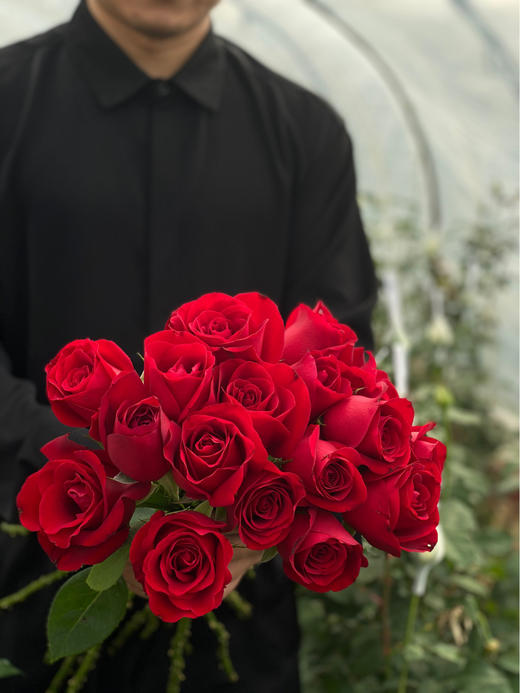 【周四团购】卡罗拉红玫瑰15枝39.8元 2人拼团 商品图1