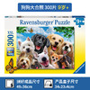 Ravensburger拼图 平面拼图300片狗狗大合照RAVC132287 商品缩略图0