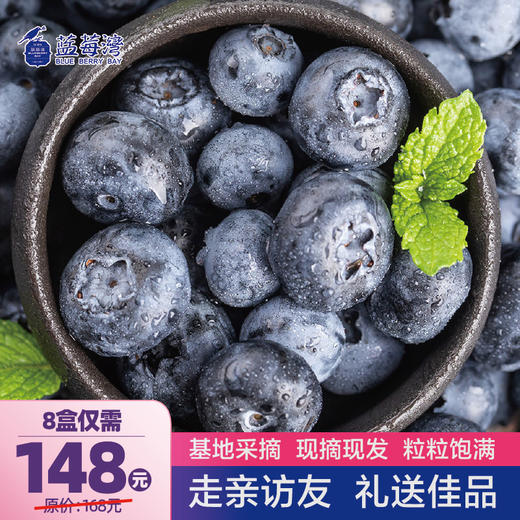 预售蓝莓鲜果1000g 顺丰装 现摘现发 精选大果 8盒装有机蓝莓 顺丰包邮超级鲜 商品图0