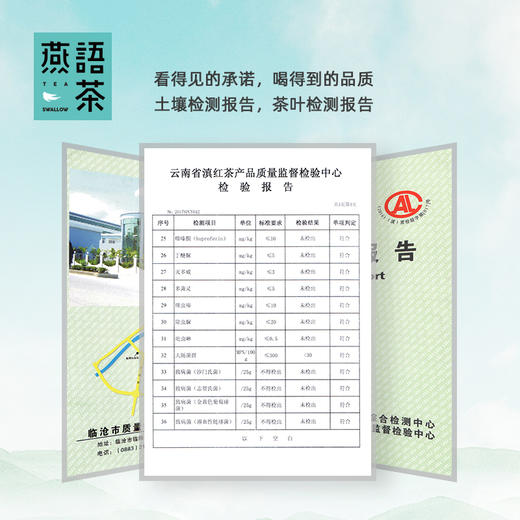 茶山童画饼200g 商品图2