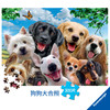 Ravensburger拼图 平面拼图300片狗狗大合照RAVC132287 商品缩略图1