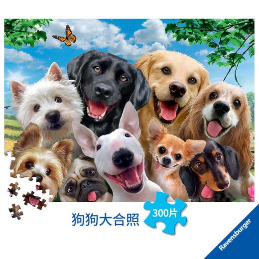 Ravensburger拼图 平面拼图300片狗狗大合照RAVC132287 商品图1