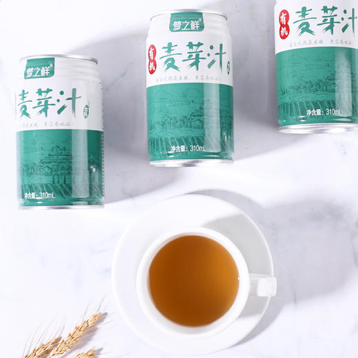 有机麦芽汁310ml/罐  弱碱性富含氨基酸 纯素饮料 商品图1