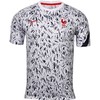 小李子NIKE/耐克欧洲杯法国队足球训练短袖热身服男子CD2578-100 商品缩略图0