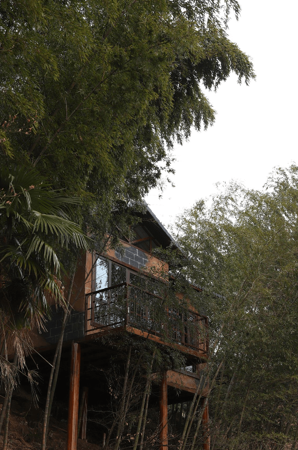 398元起抢【望城黑麋峰星空茶园树屋民宿】套餐,山顶独栋树屋别墅