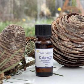 店铺笔记背景测试