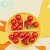 Olababy 美国欧拉宝贝吸底餐盘硅胶JHG 商品缩略图0