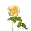 单头玫瑰 | 奶油杯 商品缩略图8