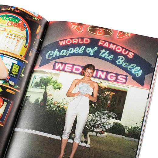 【中商原版】Terry Richardson: Volumes 1&2 英文原版 泰利·理查森：肖像与时尚 商品图3