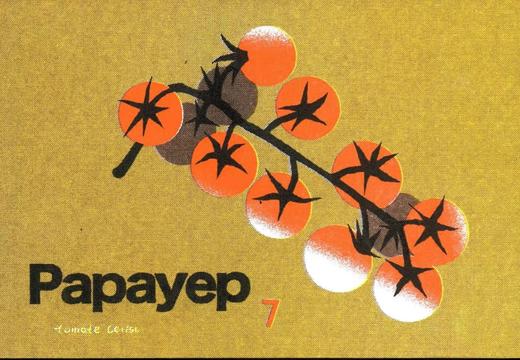 papayep『 vol.7』 商品图1