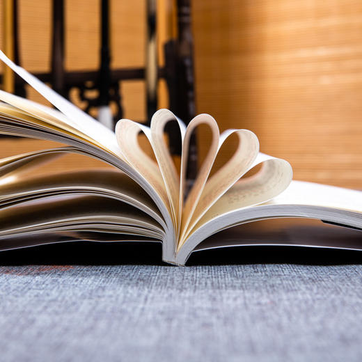 文言文入门读本（全三册），快速培养孩子阅读古文能力，提升孩子应试能力 商品图11