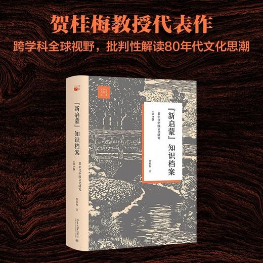 《“新启蒙”知识档案：80年代中国文化研究（第2版）》文学与当代史丛书 作者：贺桂梅   定价：80元 商品图0