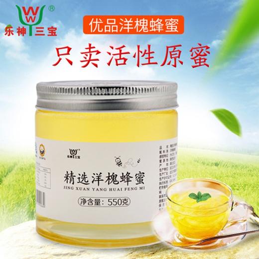 【企业】（乡村振兴商品）乐神三宝精选洋槐蜂蜜（550g/瓶） 商品图0