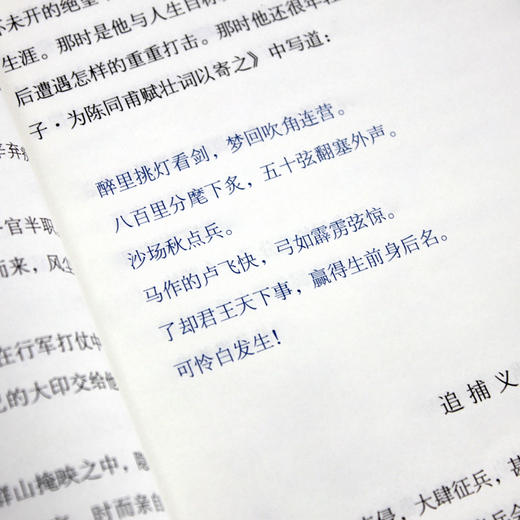 《从万里江山到灯火阑珊：辛弃疾传》 商品图7