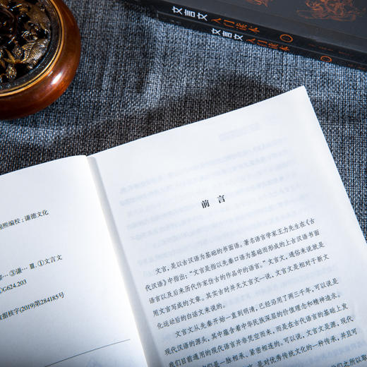 文言文入门读本（全三册），快速培养孩子阅读古文能力，提升孩子应试能力 商品图6