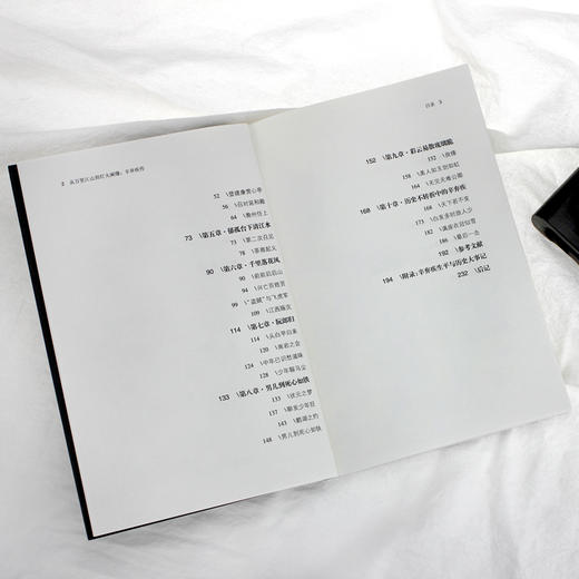 《从万里江山到灯火阑珊：辛弃疾传》 商品图6