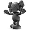 Kaws-末日 商品缩略图0