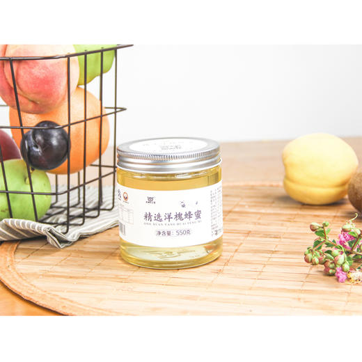 【企业】（乡村振兴商品）乐神三宝精选洋槐蜂蜜（550g/瓶） 商品图1