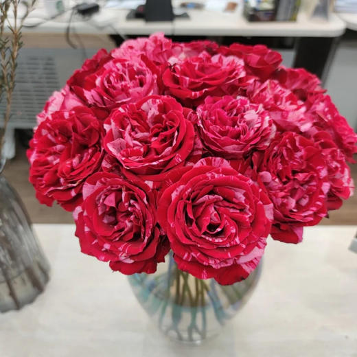 幸运女神稀有玫瑰9支送1支份买2份减20元寓意幸运降临