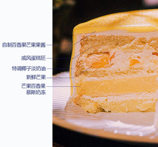 童趣马戏团 商品图5