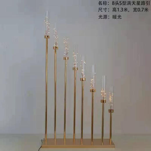 8头S型满天星【运费自理】 商品图0