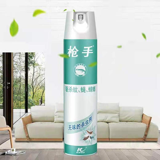 【20.9元/瓶赠普通苍蝇拍1个】枪手无味型杀虫气雾剂600ml 商品图1