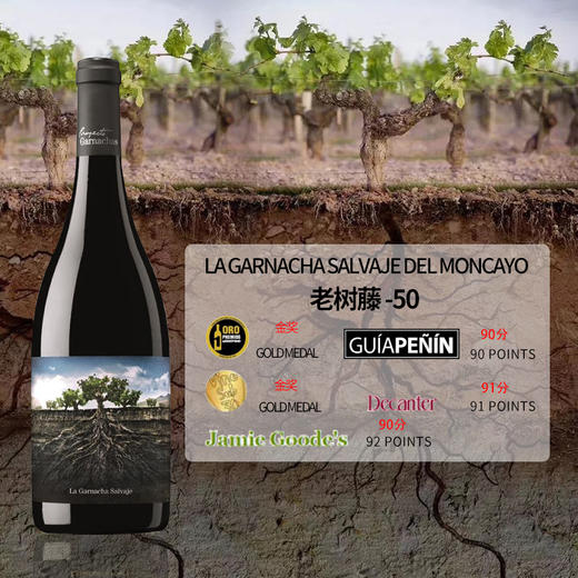 西班牙2019 老树藤50干红 商品图2