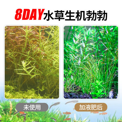 疯狂水草草缸水草液肥营养液肥料液肥水草不伤鱼专用基肥液草造景 疯狂水草