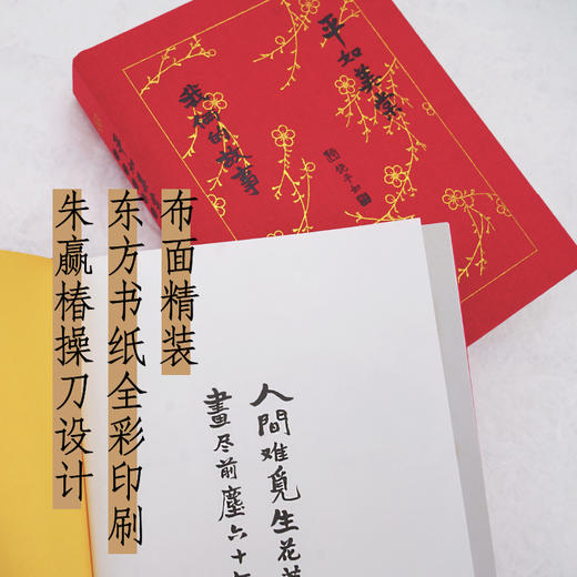 平如美棠  第四版  纪念修订版（随机赠送2张碗垫） 商品图5