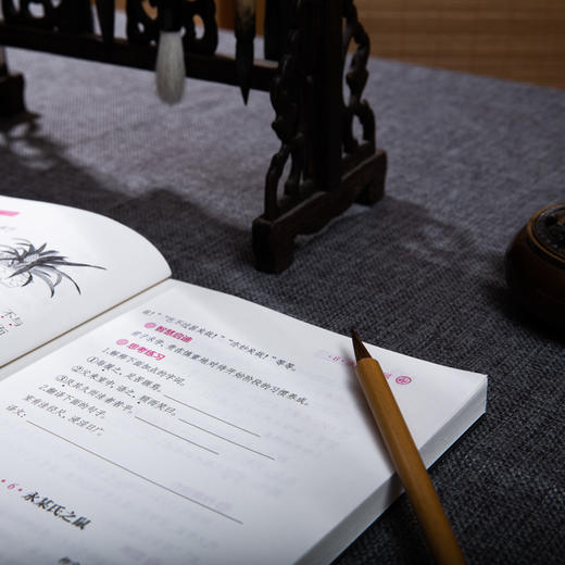 文言文入门读本（全三册），快速培养孩子阅读古文能力，提升孩子应试能力 商品图10